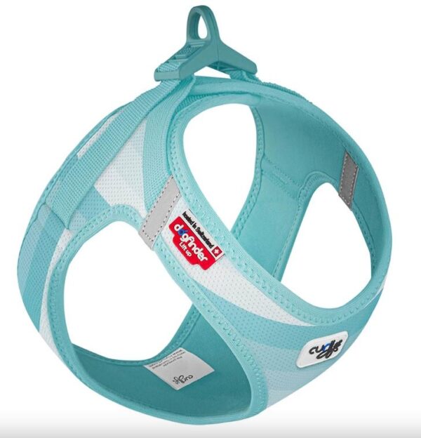 Curli Clasp Special Edition 2022 hundesele, XL