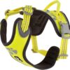 Hurrta Weekend Warrior polstret sele - Billede 2